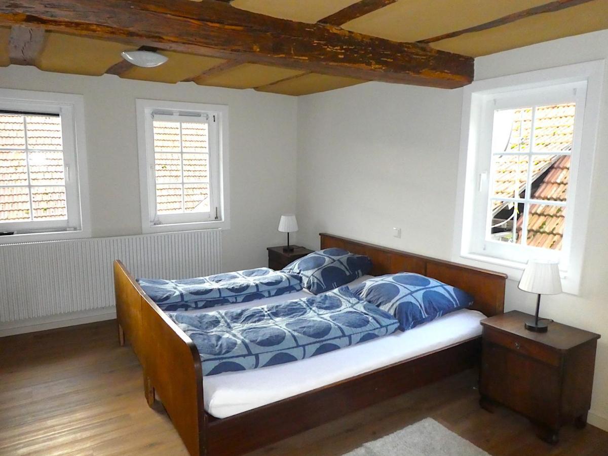 Alte Schreinerei Apartment Lutzelbach Екстериор снимка