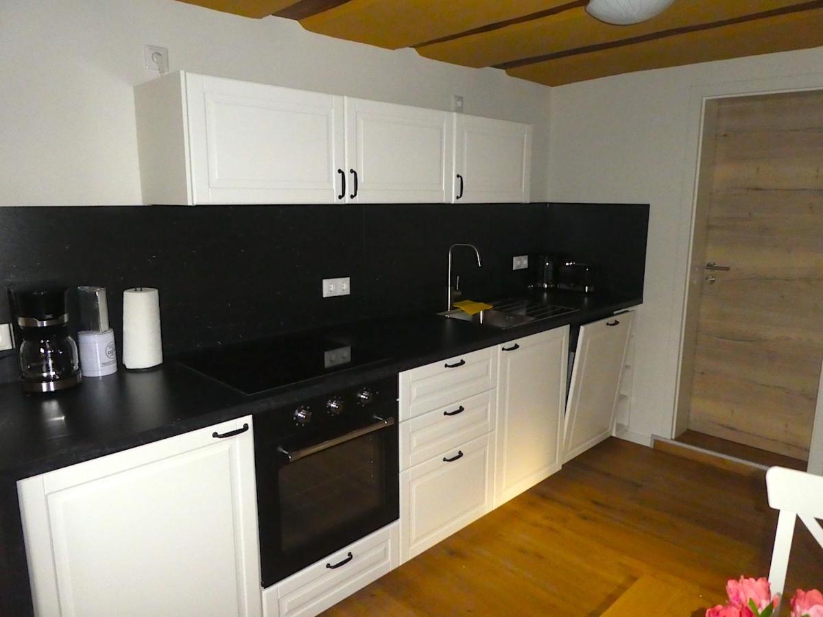 Alte Schreinerei Apartment Lutzelbach Екстериор снимка